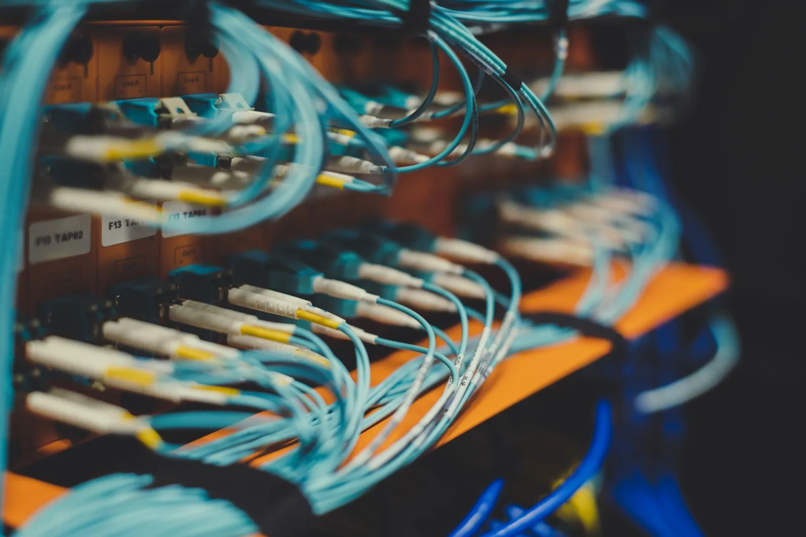 Blue network cables connected to a server rack in a modern data center